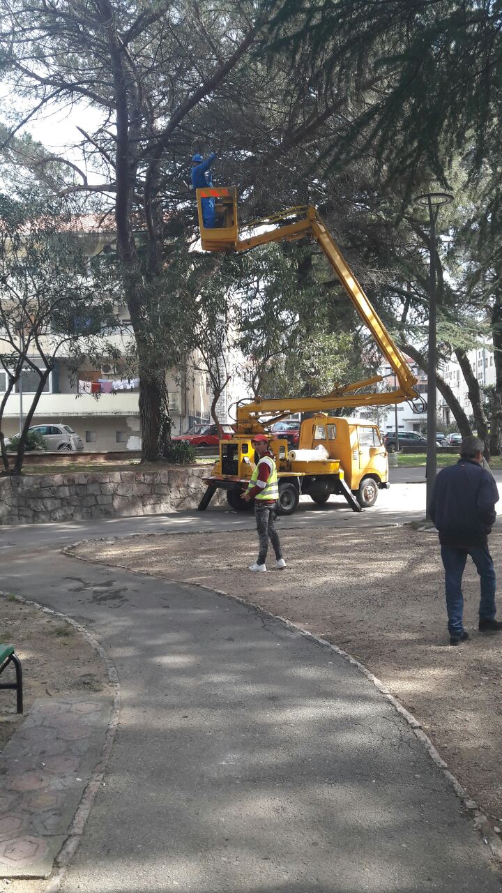 orezivanje sasušenih grana u malom parku